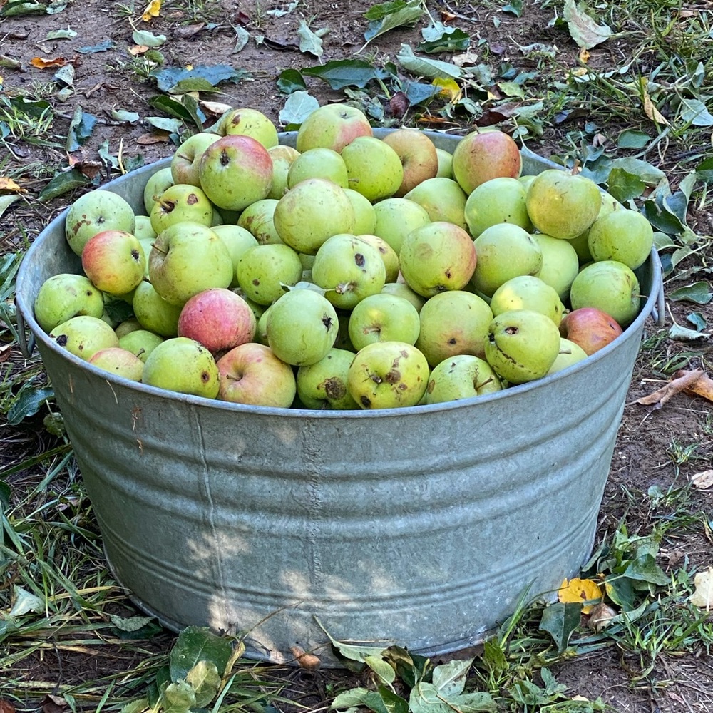 Intu Stones 
crystals with a crystal healer Unlisted Inventory - Picture 16 of 16